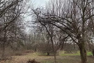 17932 Indian Prairie Rd, White Pigeon, MI 49099 - Photo 3