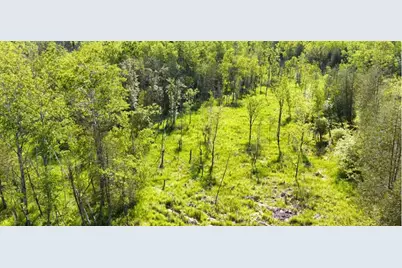 00 20 Mile Rd., Marion, MI 49665 - Photo 7