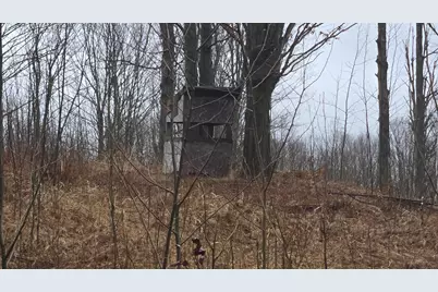 00 20 Mile Rd., Marion, MI 49665 - Photo 19