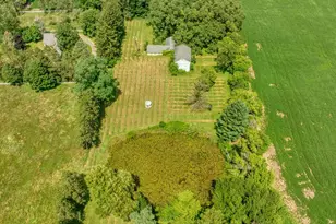 7295 N Gibbs Rd, Albion, MI 49224 - Photo 47