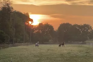 19250 Homer Rd, Marshall, MI 49068 - Photo 65