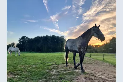 19250 Homer Road, Marshall, MI 49068 - Photo 69