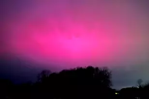 19250 Homer Rd, Marshall, MI 49068 - Photo 83