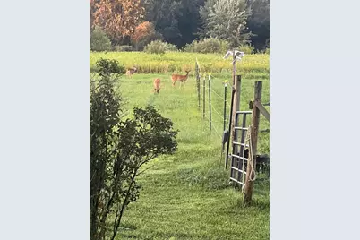 19250 Homer Road, Marshall, MI 49068 - Photo 71