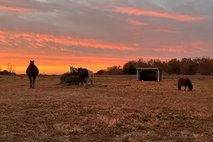 19250 Homer Rd, Marshall, MI 49068 - Photo 61