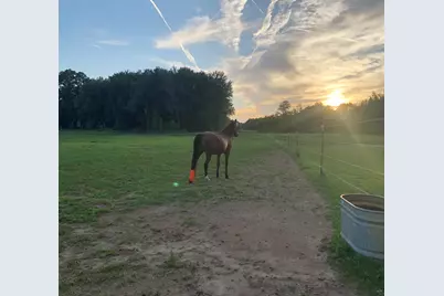 19250 Homer Road, Marshall, MI 49068 - Photo 59
