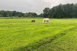 19250 Homer Rd, Marshall, MI 49068 - Photo 67