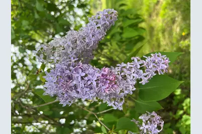 19250 Homer Road, Marshall, MI 49068 - Photo 91