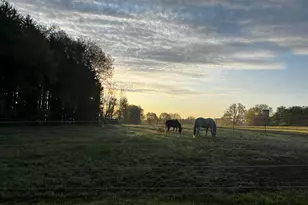 19250 Homer Rd, Marshall, MI 49068 - Photo 55