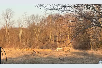 19250 Homer Road, Marshall, MI 49068 - Photo 93