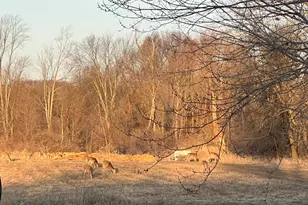 19250 Homer Rd, Marshall, MI 49068 - Photo 93