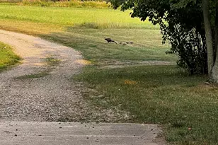 19250 Homer Rd, Marshall, MI 49068 - Photo 75