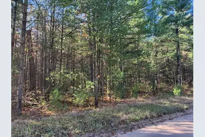 Parcel 1 County Line Road, Free Soil, MI 49411 - Photo 1