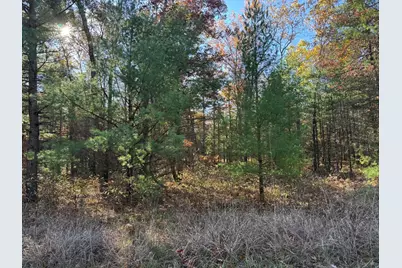 Parcel 2 County Line Road, Free Soil, MI 49411 - Photo 3