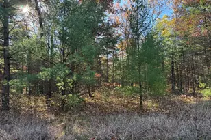 Parcel 2 County Line Rd, Free Soil, MI 49411 - Photo 3