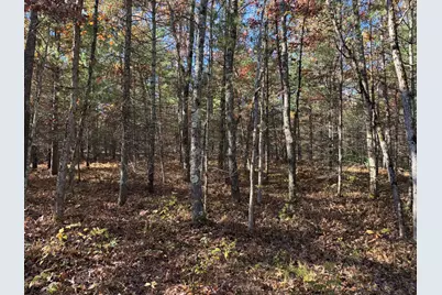 Parcel 2 County Line Road, Free Soil, MI 49411 - Photo 5