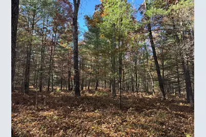 Parcel 2 County Line Road, Free Soil, MI 49411 - Photo 1