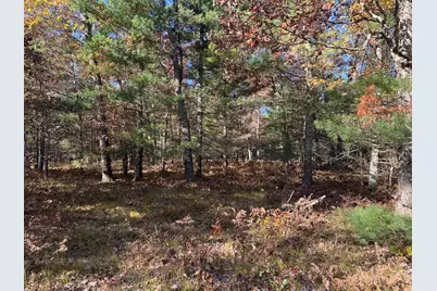 Parcel 3 County Line Road, Free Soil, MI 49411 - Photo 3
