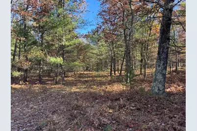 Parcel 4 County Line Road, Free Soil, MI 49411 - Photo 3