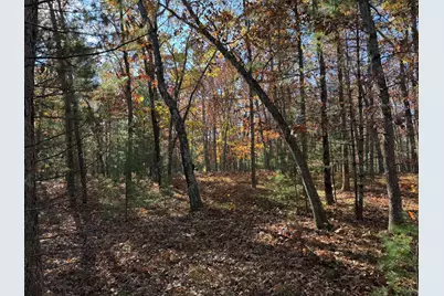 Parcel 5 County Line Road, Free Soil, MI 49411 - Photo 3