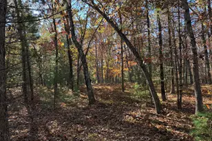 Parcel 5 County Line Rd, Free Soil, MI 49411 - Photo 3