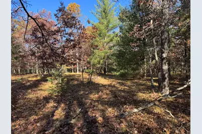 Parcel 6 County Line Road, Free Soil, MI 49411 - Photo 3