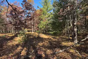 Parcel 6 County Line Rd, Free Soil, MI 49411 - Photo 3