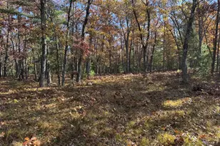 Parcel 6 County Line Rd, Free Soil, MI 49411 - Photo 5