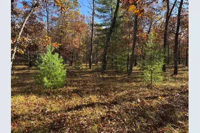 Parcel 7 County Line Road, Free Soil, MI 49411 - Photo 1