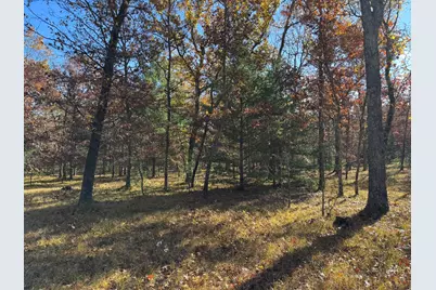 Parcel 7 County Line Road, Free Soil, MI 49411 - Photo 3