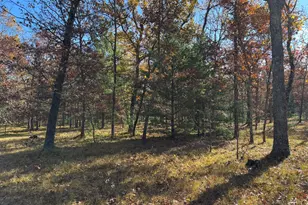 Parcel 7 County Line Rd, Free Soil, MI 49411 - Photo 3