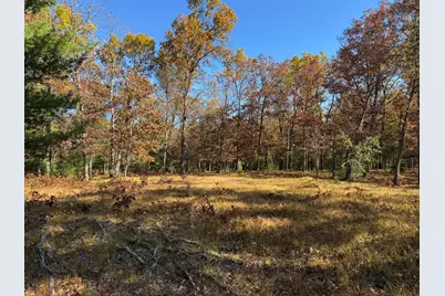 Parcel 8 County Line Road, Free Soil, MI 49411 - Photo 5