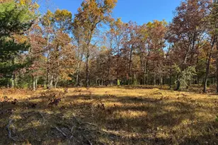 Parcel 8 County Line Rd, Free Soil, MI 49411 - Photo 5