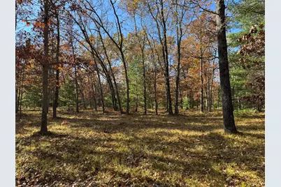 Parcel 8 County Line Road, Free Soil, MI 49411 - Photo 3