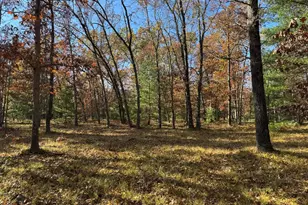 Parcel 8 County Line Rd, Free Soil, MI 49411 - Photo 3