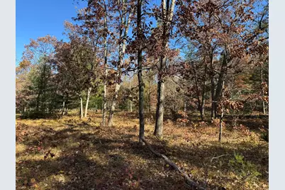 Parcel 9 County Line Road, Free Soil, MI 49411 - Photo 3