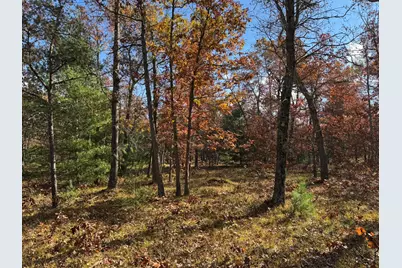 Parcel 9 County Line Road, Free Soil, MI 49411 - Photo 5