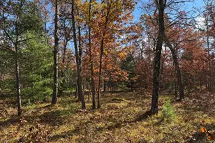 Parcel 9 County Line Rd, Free Soil, MI 49411 - Photo 5