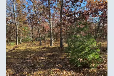 Parcel 9 County Line Road, Free Soil, MI 49411 - Photo 1