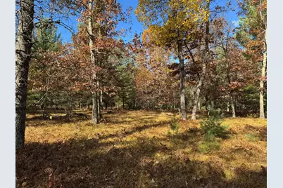 Parcel 12 County Line Road, Free Soil, MI 49411 - Photo 3