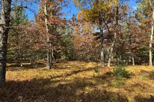 Parcel 12 County Line Rd, Free Soil, MI 49411 - Photo 3