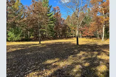 Parcel 13 County Line Road, Free Soil, MI 49411 - Photo 1