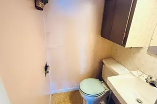 926 E Main Street SE, Lowell, MI 49331 - Photo 23