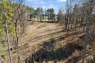 8600 Whippoorwill Ln, Manchester, MI 48158 - Photo 51