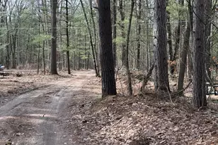 12504 N Woodbridge Ave, Bitely, MI 49309 - Photo 7