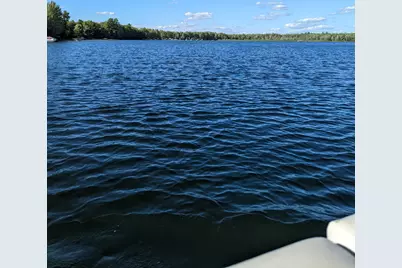 12504 N Woodbridge Avenue, Bitely, MI 49309 - Photo 3