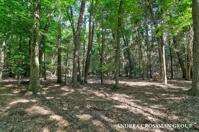 110 Park Street, Saugatuck, MI 49453 - Photo 7