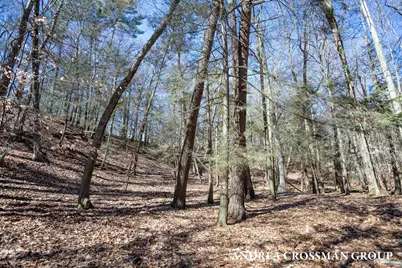 110 Park Street, Saugatuck, MI 49453 - Photo 19