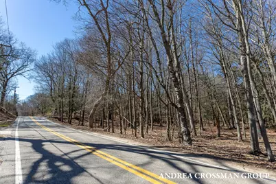 110 Park Street, Saugatuck, MI 49453 - Photo 13