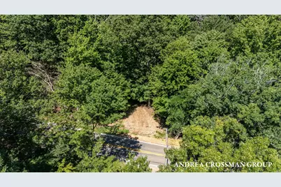 110 Park Street, Saugatuck, MI 49453 - Photo 3